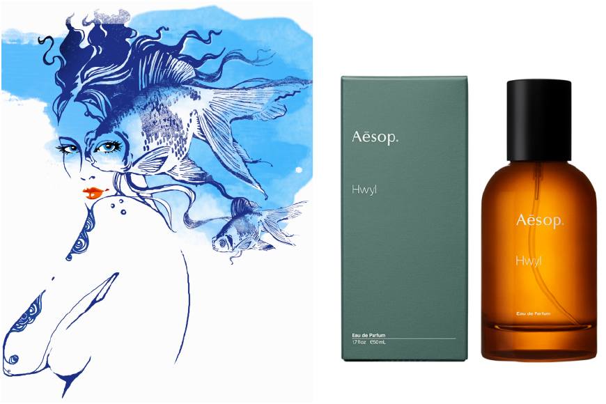 星座运势巨蟹女和白羊,太阳白羊上升巨蟹运势