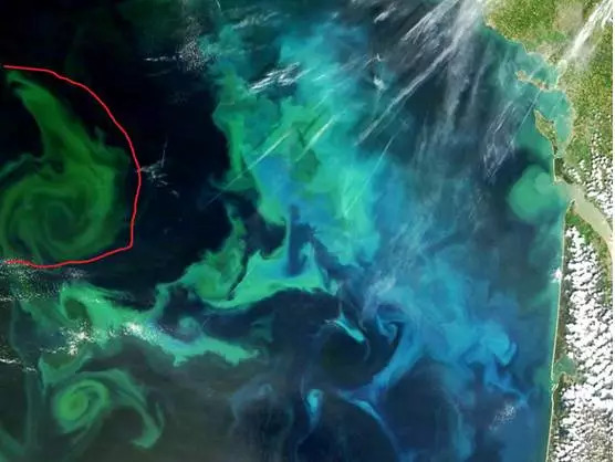 全球唯一一款延缓近视的眼药水 (德国眼药水缓解近视)