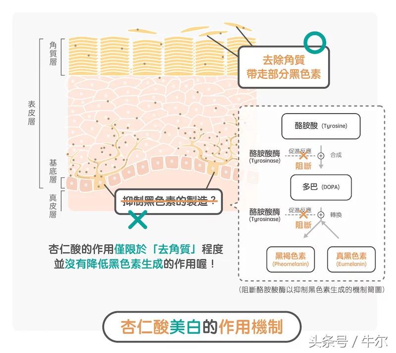 祛闭口粉刺刷酸推荐,粉刺闭口刷酸测评