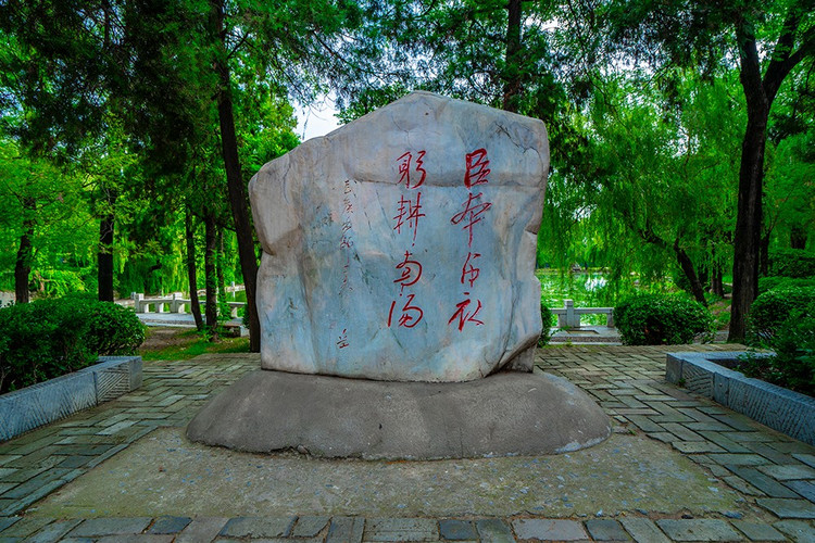 探寻自然与历史的魅力,走进大自然了解历史人文