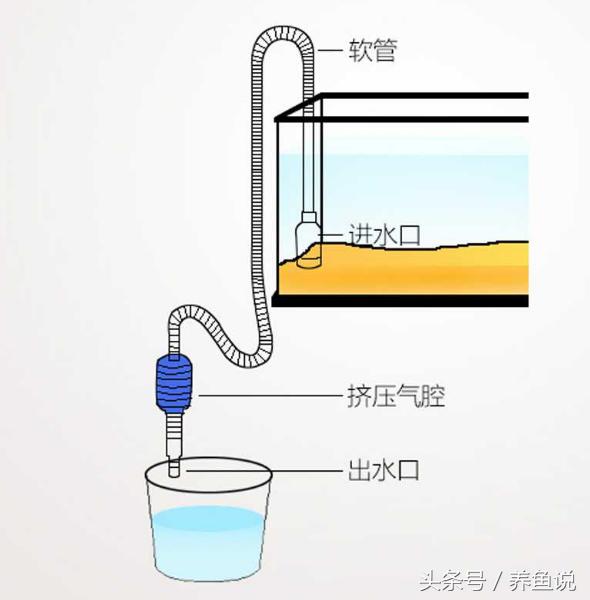 养鱼换水方法视频教程,养鱼换水技巧视频教程