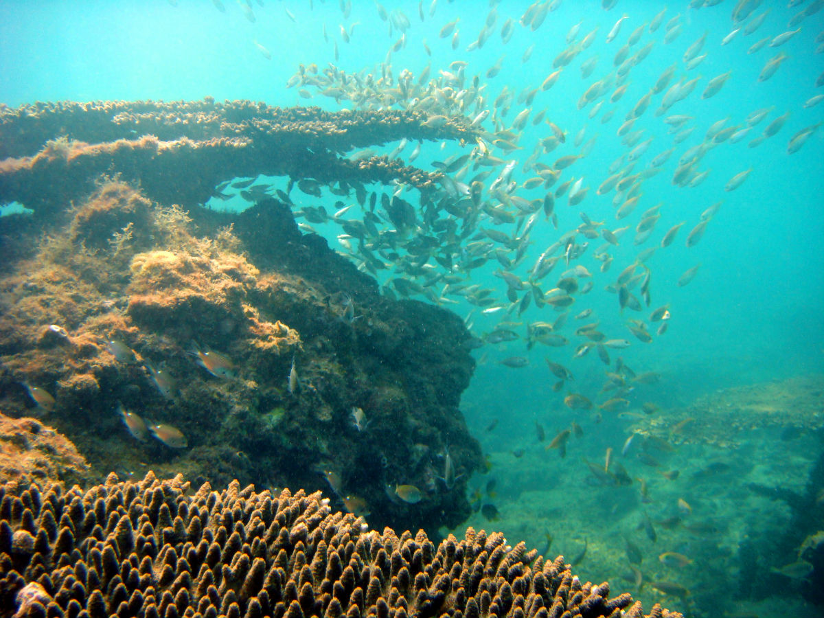 涠洲岛火山岛图文,北海涠洲岛火山岛网红打卡地
