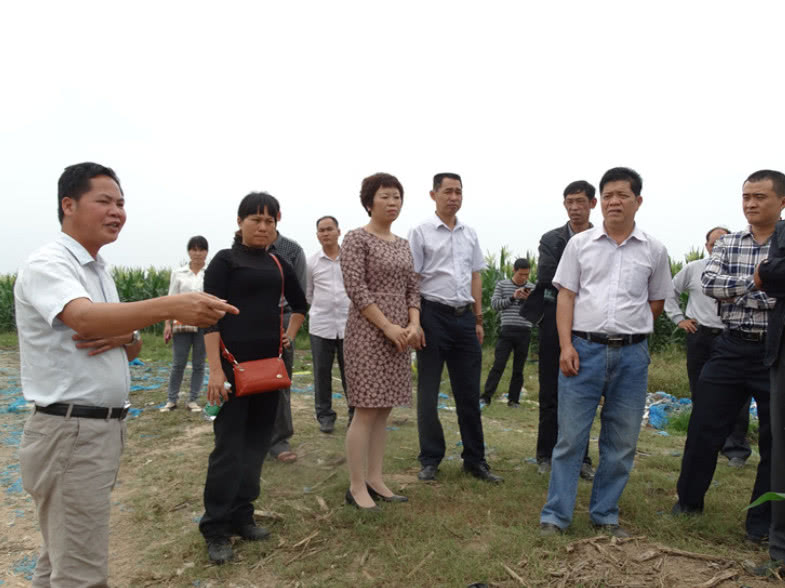 村干部不肯公开财务,村民该如何应对?手机就可以举报!