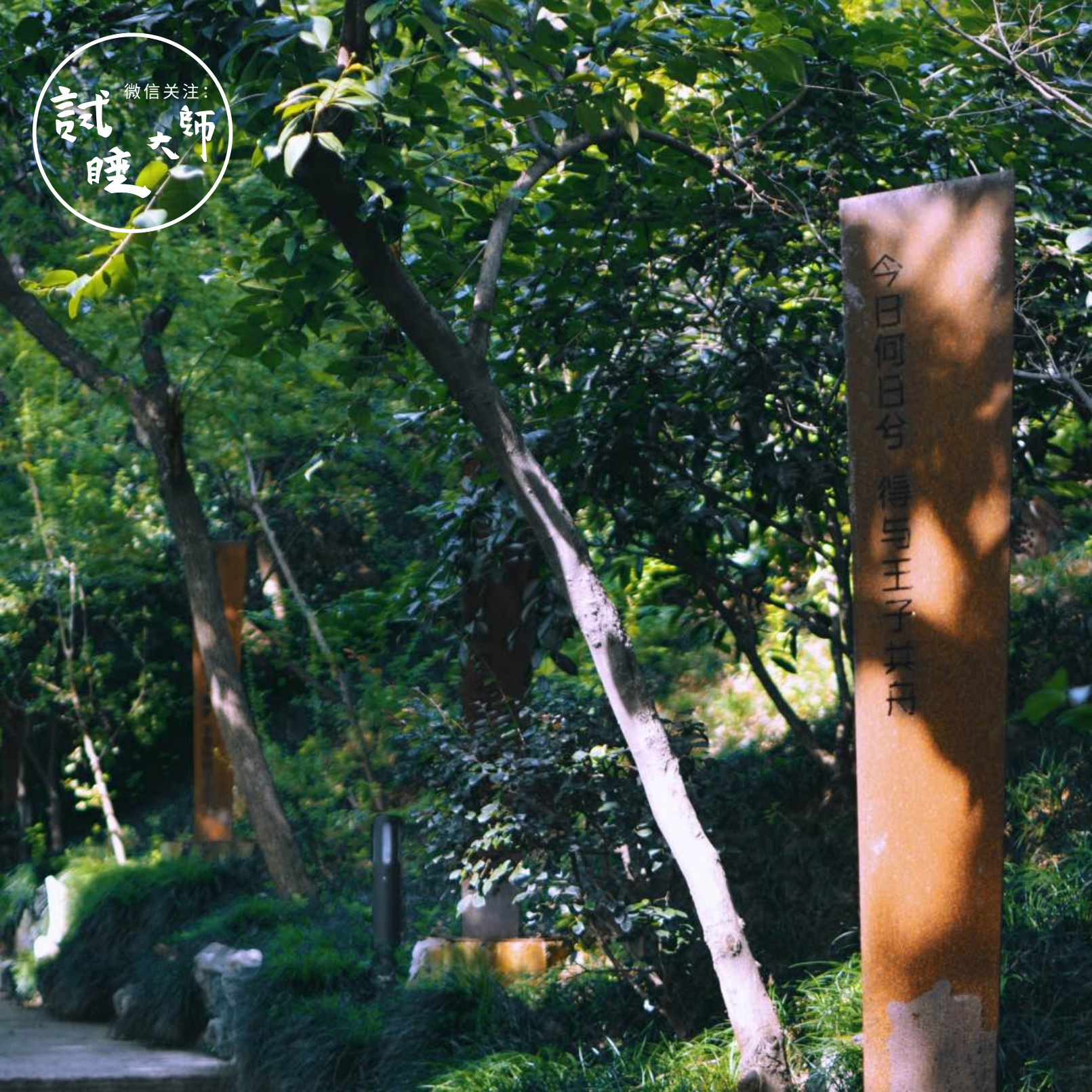 艺术性酒店浴缸,专为女性而设计的寝具