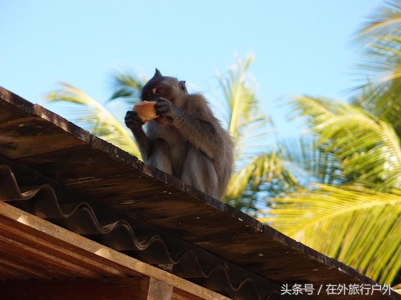 旅游第二天泡酒店攻略,东南亚酒店体验