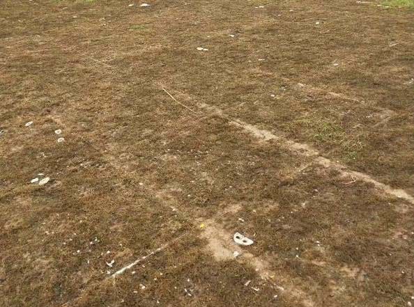 中超十大魔鬼主场震撼场面,中超足球魔鬼主场最震撼的场景