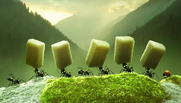 教你100块钱吃肯德基吃一整天,吃肯德基怎么吃最划算