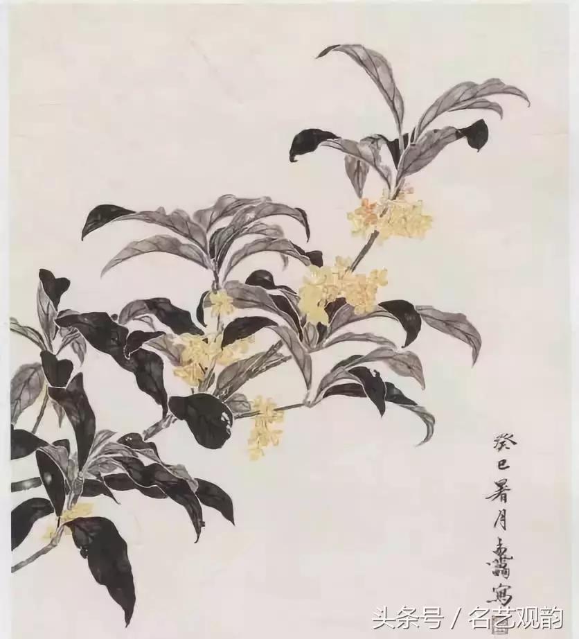 中国画技法之没骨画法的经典范画,没骨画法和写意画的区别