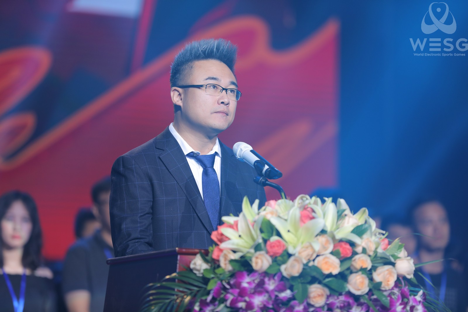 wesg全球总决赛,wesg广东站决赛