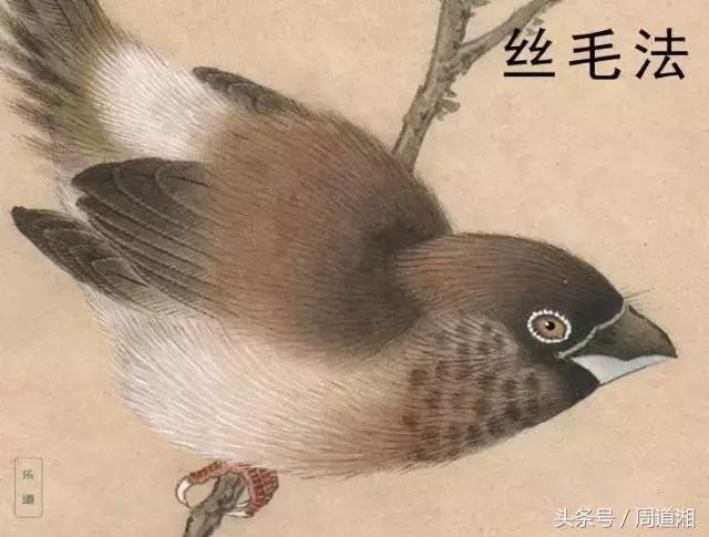 荷叶工笔画用什么方法渲染,工笔画渲染视频教程花卉