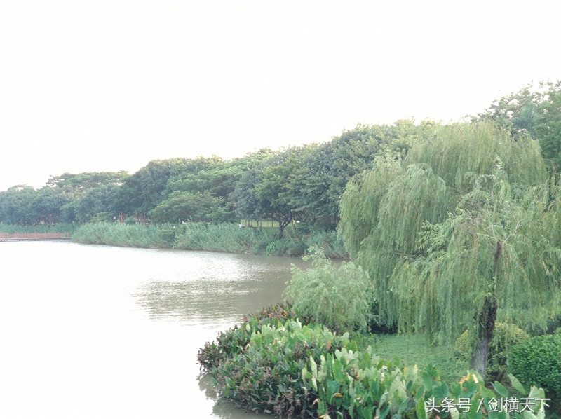 白云湖公园徒步,白云湖公园攻略最近