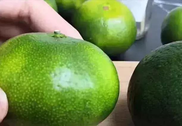 现在正当季的橘子品种有哪些,秋橘子怎么挑