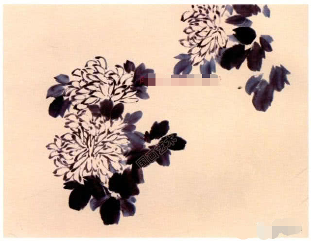 写意菊花画法笔法清晰一看就会,写意菊花的画法步骤图