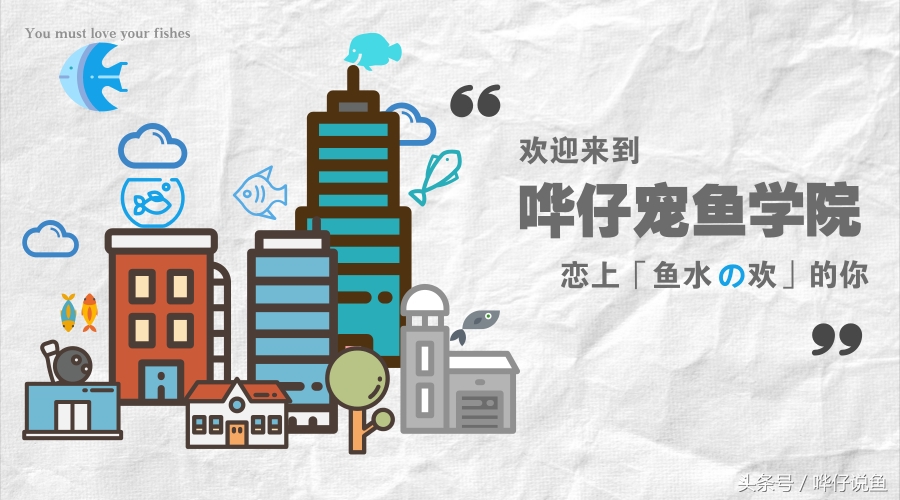 家养观赏鱼怎么养活得更久,观赏鱼养鱼攻略图解