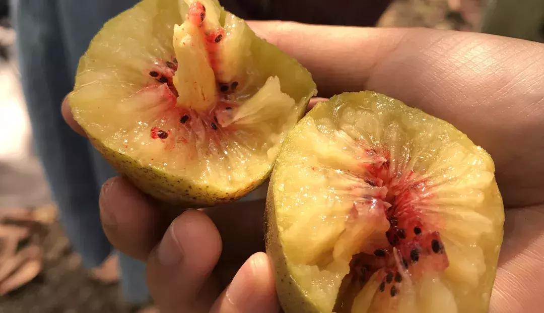 成都邛崃藏在深山中的世外桃源,成都邛崃最值得去的地方