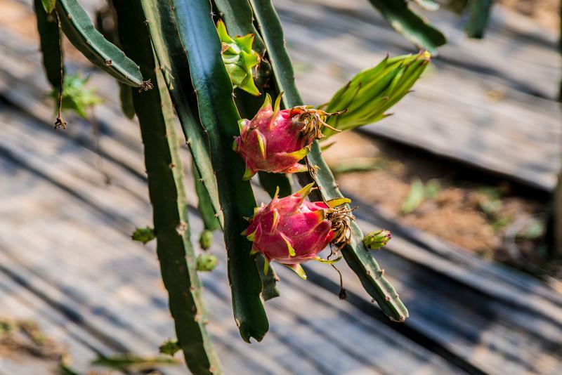 安徽宣城广德旅游攻略,安徽宣城山水奇秀