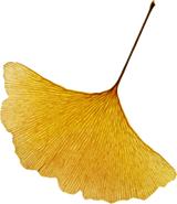 未来什邡发展,德阳市对什邡未来的发展