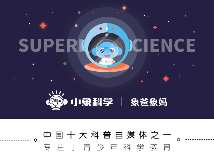 计生委生孩子,计生证是生孩子之前还是以后办理