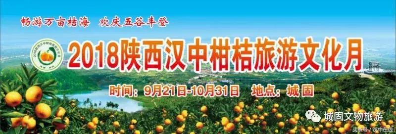 一起去城固吃桔子,还有大型活动,快来看看!