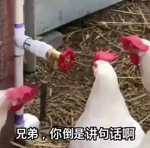 嗑进口“养生药”的年轻人炸了澳洲Swisse等保健品竟是从中国进口