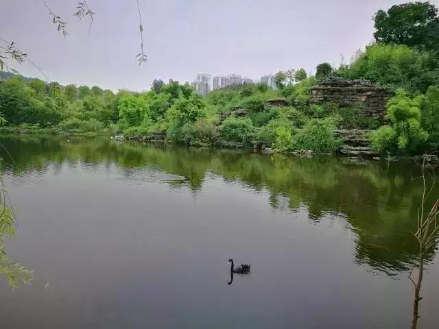 致拼搏奋斗路上莘莘学子,致莘莘学子的图片