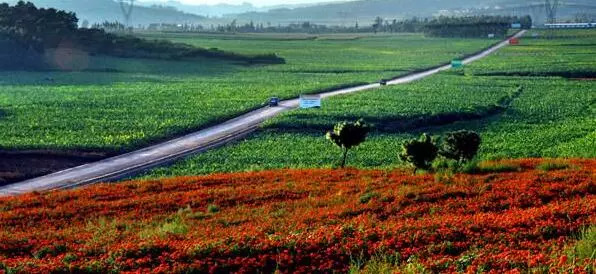 云南乡村振兴示范村建设政策,云南省四好农村路指导意见