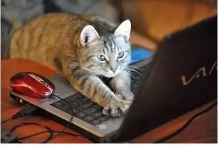 广深港高铁全程票价,广深港高铁票价定了