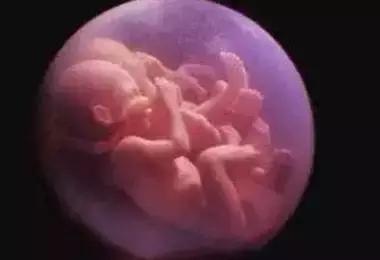 在娘胎里“亲密接触”,这对双胞胎差点“玩”出大祸……