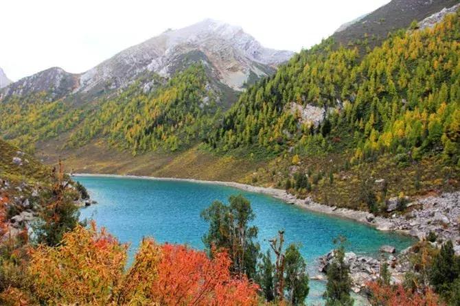 国内最美的十大海滨城市,国内最撩人的20个金秋童话