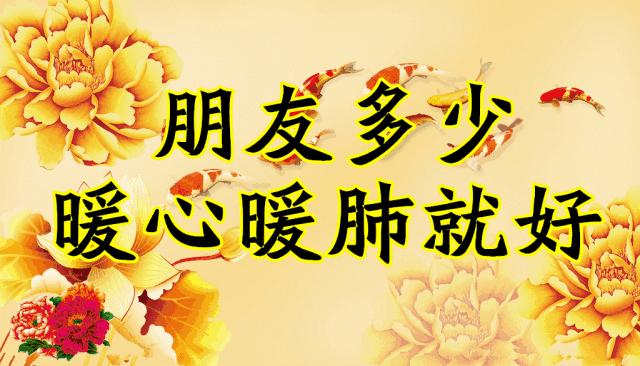 会动的图片一览表,会动的图片完整版