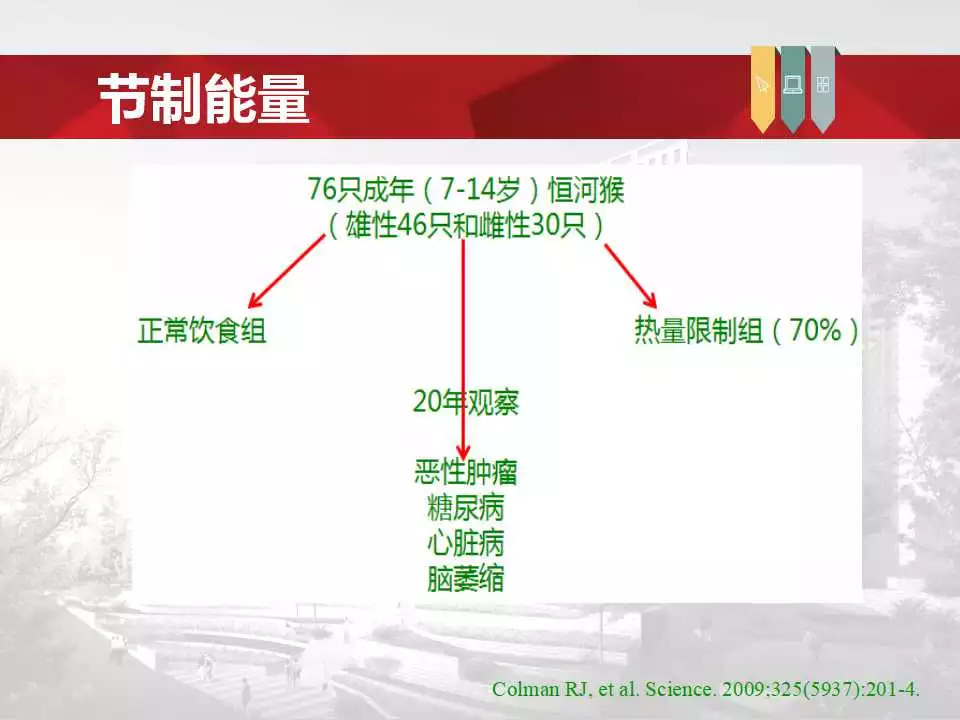 「课件」冯长艳（重庆肿瘤医院）：肿瘤患者的营养与康复指导