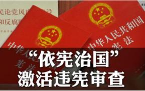 宪法第一条,宪法的意义