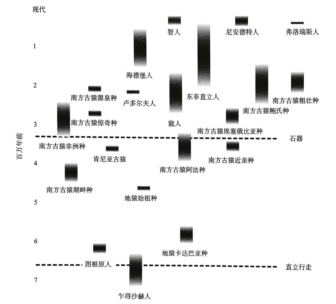人体哪个部位让你，忍不住伸出舌头，想舔……｜从5500万年前说起
