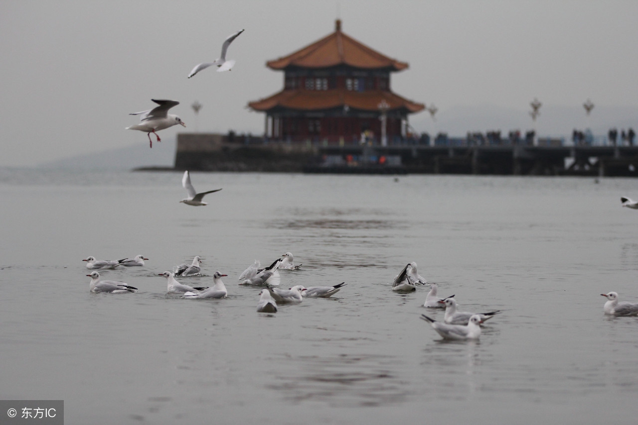 青岛很著名的桥,青岛最出名的桥是哪座