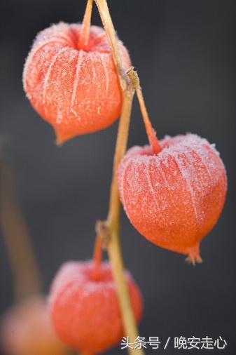 自古亲情留不住唯有套路得人心,自古深情留不住唯有套路得人心
