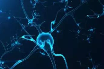 胖子和糖尿病人都有救了，最新荷尔蒙问世，不用手术