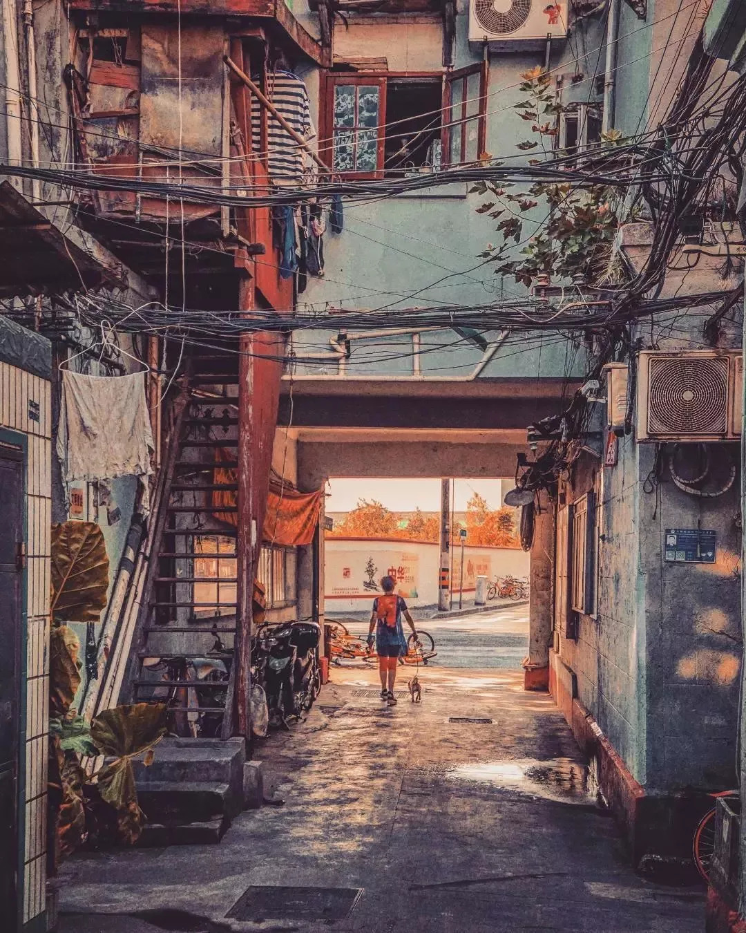 上海大量美照曝光,上海惊艳视频