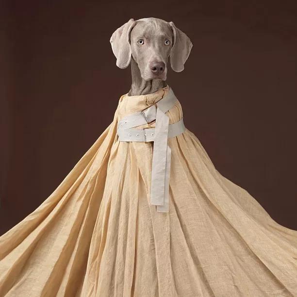 最新出圈的国潮联名款卫衣,三大国潮联名卫衣