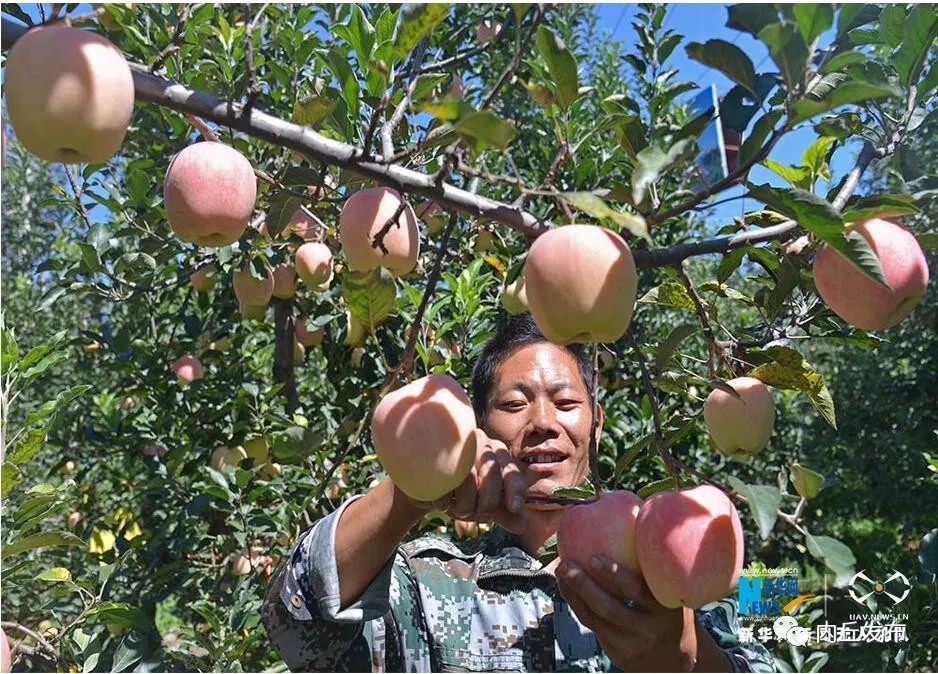 太行苹果小镇,苹果乡村振兴视频
