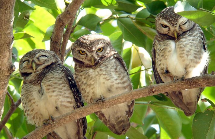 有人花1500元买马赛克图片和拼音商品？记者调查发现幕后大有隐秘！