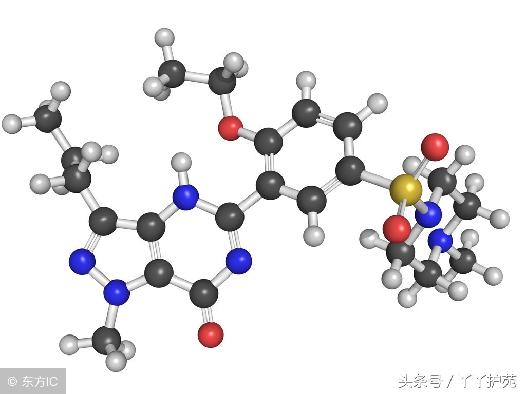 20多种常见病的调理方法,盘点10种常见病用药搭配
