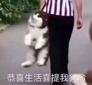 这个可以替代水卡的App，学长学姐们都在用！