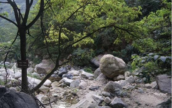 华山跟华山北,华山