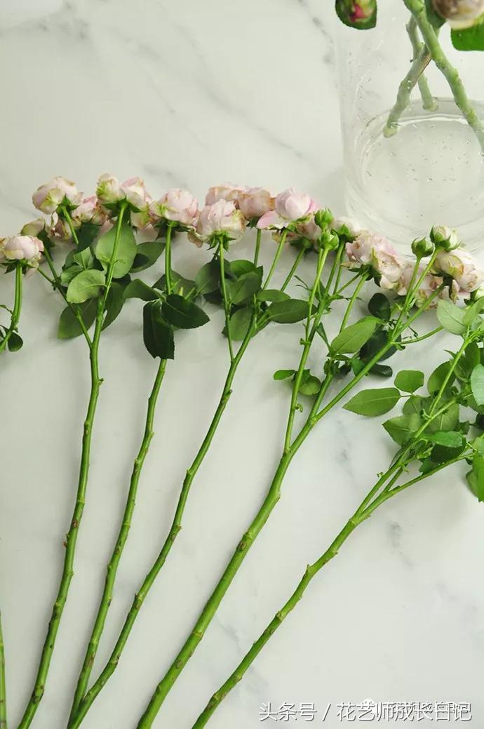 想当花艺师怎么自学,如何成为一个花艺师