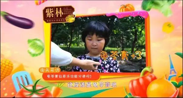 奶茶里的黄色透明果冻是什么,仙草冻和奶茶冻的区别