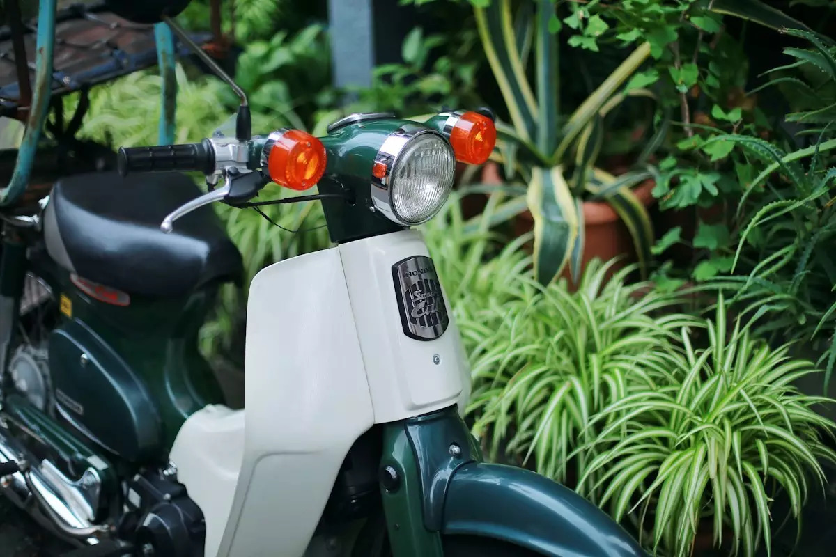 日本东京京都游记,生活在别处苏晴小说