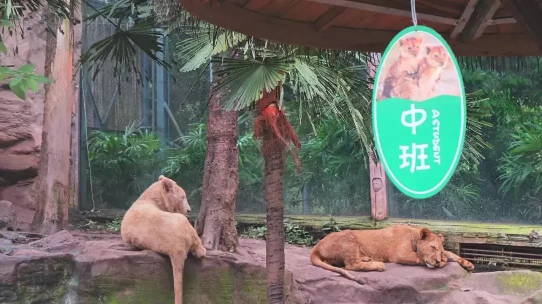 彭山景区免费政策,优待证去庐山景点全部免费吗