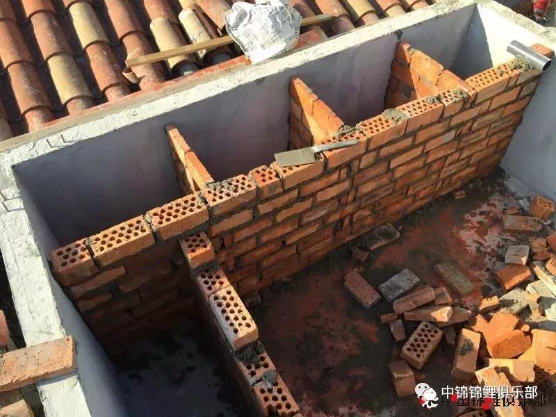 楼顶鱼池有哪些,屋顶鱼池的建造方法