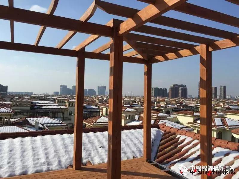 楼顶鱼池有哪些,屋顶鱼池的建造方法