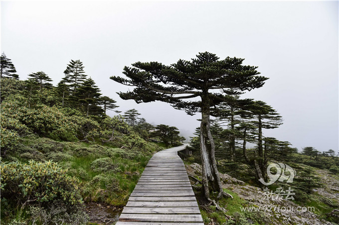 冰火两重天!“滇中第一高峰”瞬间吸了不少外国粉!